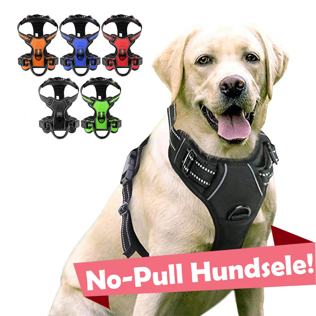 No-Pull Hundsele